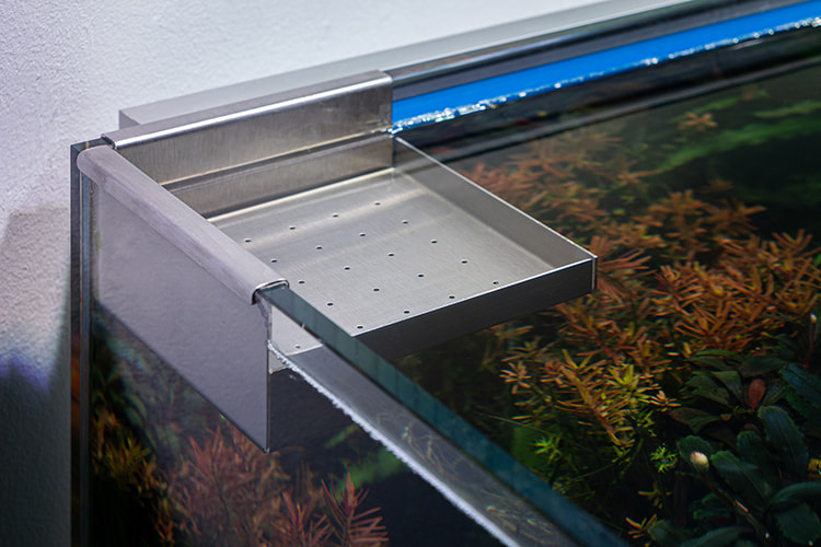 Plant balcony in the aquarium