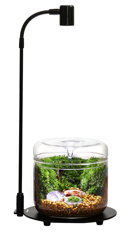 Bioloark - Luji Glass Cup - MY-120
