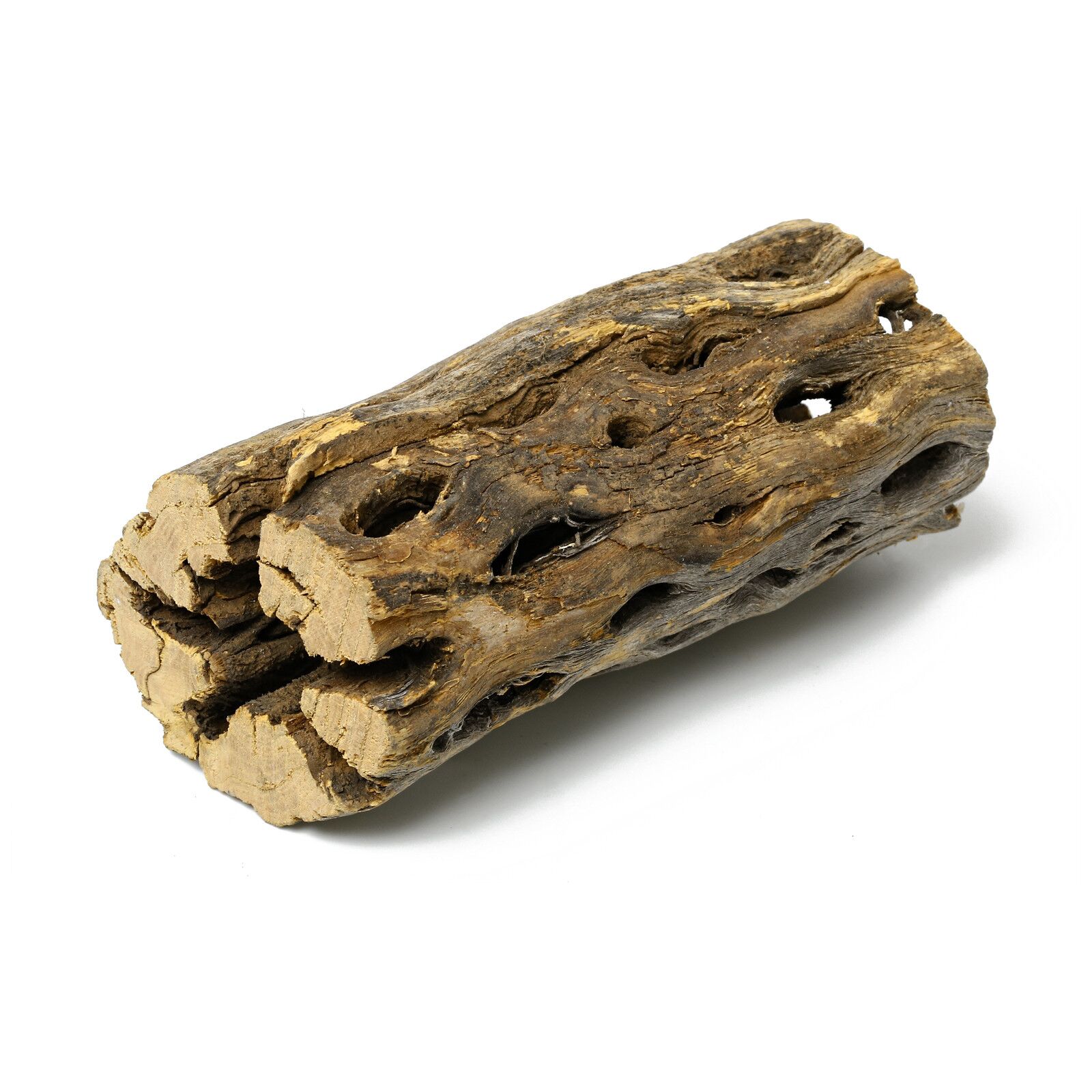 Cholla Wood