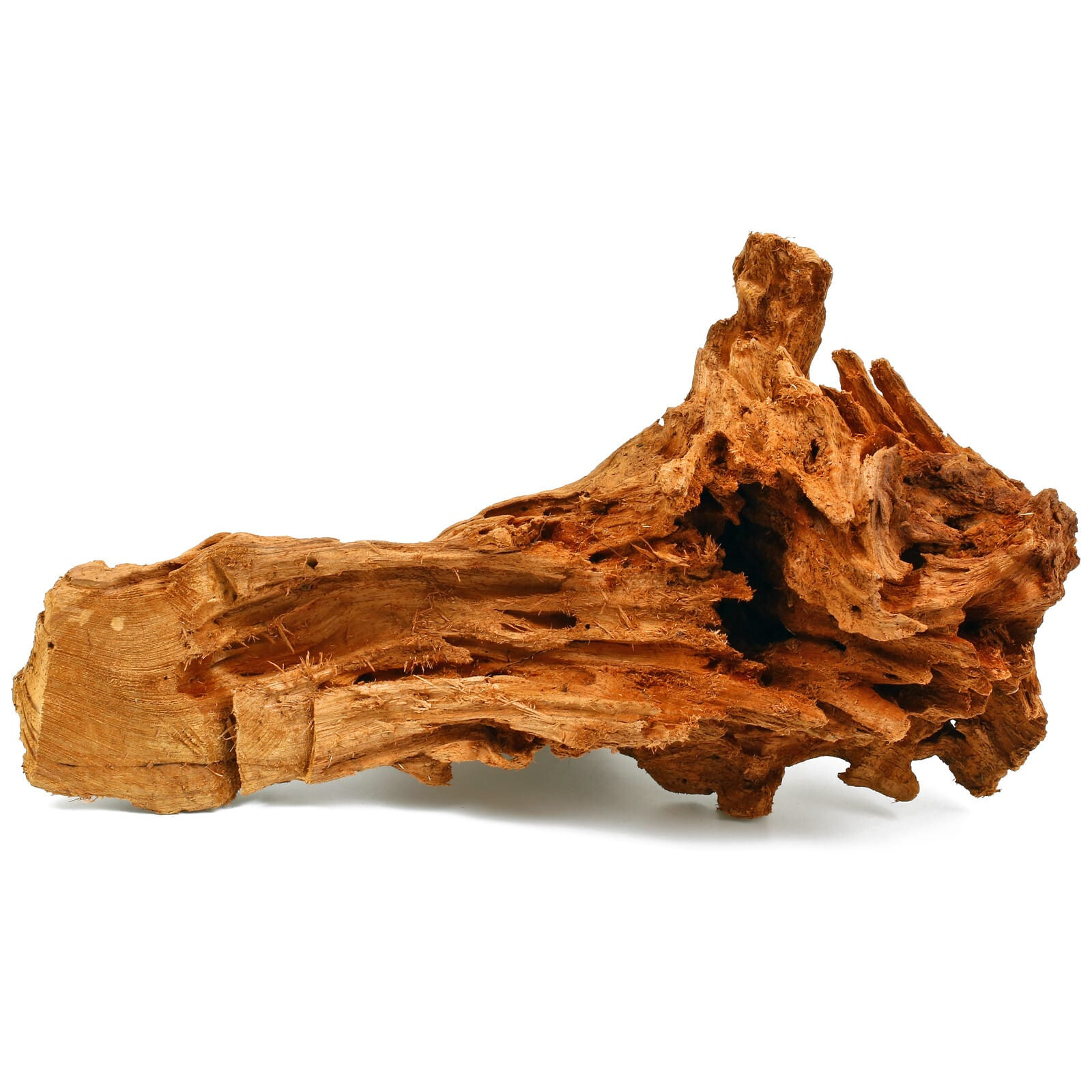 Mangrove Driftwood | Aquasabi - Aquascaping Shop