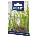 Hobby - Planaria X Special Bait