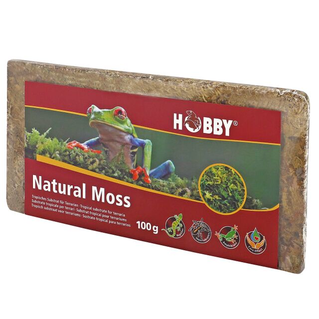 Hobby - Natural Moss - 100 g