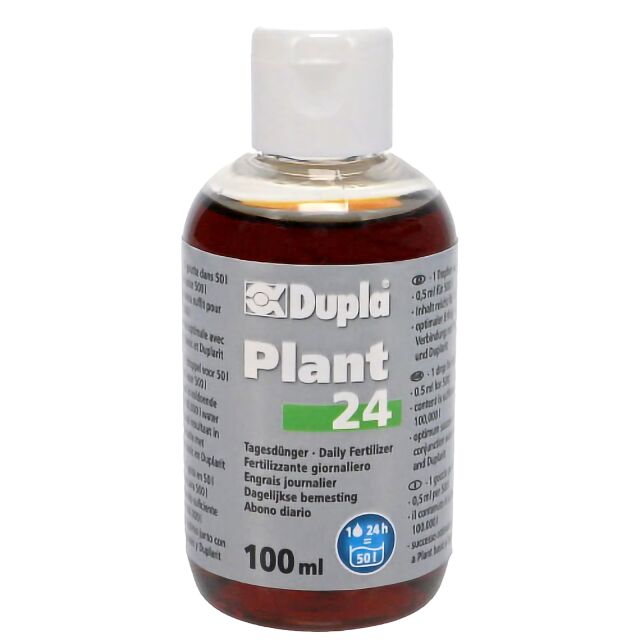 Dupla - Plant 24