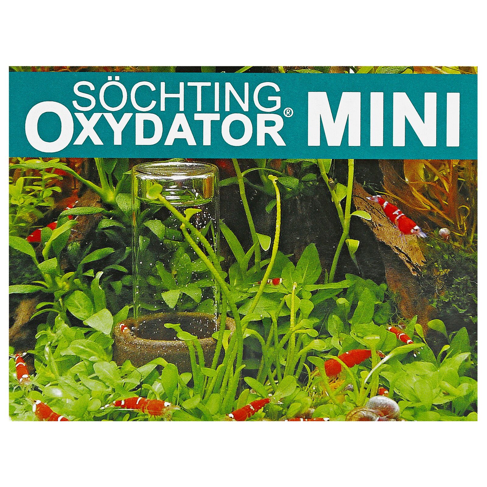 Söchting Oxydator Mini | Aquasabi - Aquascaping Shop