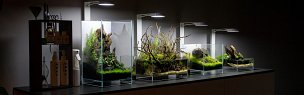 Buy Aquarium LED lighting at a great price